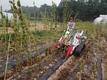 농진청, ‘2조식 참깨 예취기’ 개발