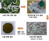 누에 이용 사료첨가용 천연항생제 개발 