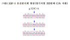 한우 성장에 관여하는 유전자 찾아냈다