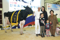 CJ제일제당, 2015 한국홀스타인 품평회서 상 석권