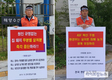 [현장]“돼지 무분별 살처분 즉각 중단하라”...릴레이 1인시위 돌입