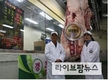 [현장]대통령상 수상한 최고의 한우, 도체중 499kg, 등심단면적 134㎠, 육질 1++A