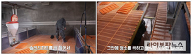 [농장탐방]전남 신안 하늘애GP, PSY 30두 MSY 28.2두 기록