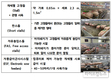 어미돼지, 동물복지 사육시설에서도 새끼 잘 낳는다