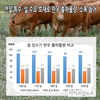 1+등급이상 출현율 늘면서 한우값도 9.2% 올라