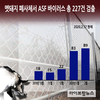 파주·연천·화천 멧돼지 폐사체서 ASF 10건 검출…이달에만 89건