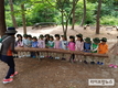 산림청, 숲해설 자원봉사자 400명 모집
