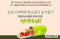 판로 막힌 친환경농산물, ‘착한 꾸러미’로 부활 성공