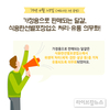 25일부터 가정용 달걀 선별포장 유통 본격 시행