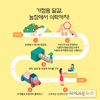 25일부터 가정용 달걀 선별포장 유통 본격 시행