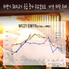 ‘재난지원금 특수’로 돼지 도매가 7% 상승…하반기 하락 우려