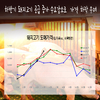 ‘재난지원금 특수’로 돼지 도매가 7% 상승…하반기 하락 우려