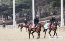 마사회, 19일부터 무고객 경마 재개