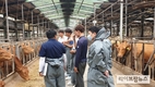 경남 한우산업 미래 청년·창업농가 컨설팅 순항