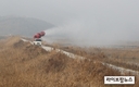 올 겨울 조류인플루엔자 유입 가능성 높아…특단대책 시급