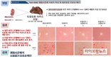 농기평, 미생물 활용 철분 공급용 사료첨가제 개발