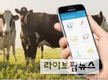 호주, 목장 신규인력 교육용 앱 출시