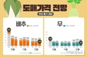 올 4인가구 김장비용 30만원…“늦출수록 비용 저렴”