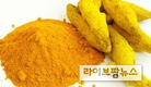 항암에 효과있는 카레, 알고보니 ‘지방간 해결사’