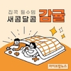 집콕 필수템 ‘감귤’로 건강한 겨울나세요