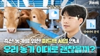 축평원, 컨설팅에서 수급현황판 운영까지…적극 행보 눈길