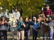 실버 힐링승마, 노년층에 심리적·신체적 도움