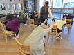 강서 아들과 딸 데이케어센터, 슬링플레이로 어르신 건강 증진 앞장