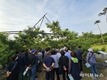 충주농기센터, 고품질 복숭아 생산 위해 월별 교육 추진