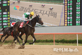 렛츠런파크 서울, 3월 16일 제23회 ‘헤럴드경제배’ 개최