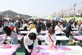 낭만벚꽃, 낭만정읍...2025 정읍 벚꽃축제에서 즐기는 화려한 봄