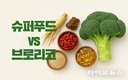 고베대학 연구팀, 브로콜리 추출 성분 ‘브로리코’ 항산화 효과 확인
