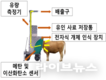저메탄 사료 소재 개발…탄소중립 축산 실현 앞당긴다