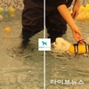 도그마루 보호소, ‘길냥이 및 유기동물’ 무료 입양 프로그램 확대