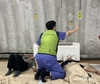 소연평도에 활기 불어넣는 ‘지역상생캠프’ 개최