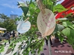 영종구 출범, 주민 속으로 한걸음 더… 인천 중구, 소통으로 공감대 확산