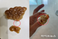 “릴레이 팝업 진행중인 약과 업체”… 장인한과, 위생·허위홍보 논란으로 소비자 불신 자초