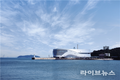 뉴욕 타임스퀘어 사로잡은 고래, 인천에 상륙하다