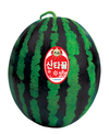 NH농우바이오, 11월 추천품종 굿모닝백다다기 오이·산타꿀 수박 소개
