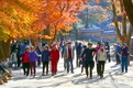 순창 강천산군립공원, 24일부터 가을 성수기 운영 시작