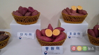 달콤하며 항암효과까지 뛰어난 신품종 고구마 개발