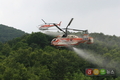 산림헬기, 산림병해충 항공 방제에도 적극 투입