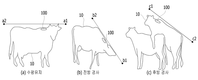 ‘소의 지능형 승가검출 기술’ 국산화한다