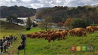세계 최고의 맛 한우…“안전하고 철저하게 관리해요”