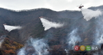 산림청, ‘산불 재난대응 안전한국 훈련’