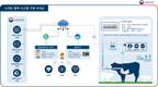 농진청, 소 발정·분만 알려주는 ‘바이오캡슐’ 개발