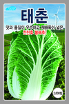 뿌리혹병 강하고 상품성 두루 갖춘 팔방미인 배추