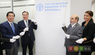 FAO 한국사무소 개소…하반기 본격 업무돌입