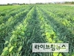 휴경·불법 임대차 등 ‘농지이용실태조사’ 실시