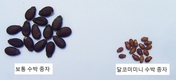 ‘씨 없는 수박’, ‘미니 수박’으로 세계시장 개척