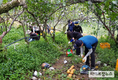 경남 농관원, 태풍 피해 과수농가 찾아 일손돕기 ‘구슬땀’
